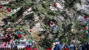 Καιρός: «Φθινοπωρινά» Τα Φετινά Χριστούγεννα