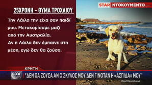 Σκύλος Έγινε «Ασπίδα» Για Να Σώσει Το Αφεντικό Του