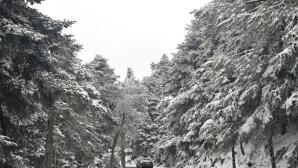 Χιόνια Πάρνηθα