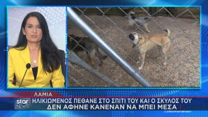 Λαμία - Σκύλος