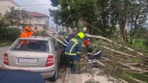 Κακοκαιρία: Ζημιές Από Τους Θυελλώδεις Ανέμους