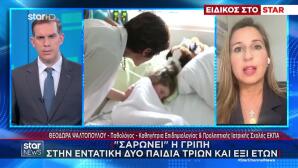 Ψαλτοπούλου Για Γρίπη: Μπορεί Να Φτάσει Σε Βαριά Εικόνα
