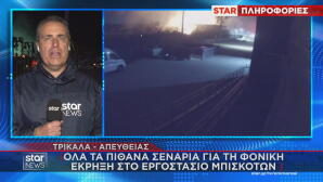 Βιολάντα τα αίτια της τραγωδίας