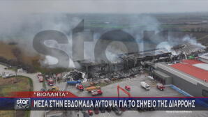 Βιολάντα  νέα αυτοψία