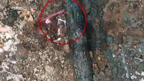 Βιολάντα: Φωτογραφία Ντοκουμέντο Από Τη Διαρροή Στον Σωλήνα