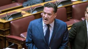 Άδωνις Γεωργιάδης Βουλή