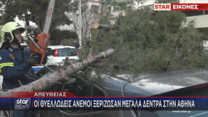 Πεσμένα δέντρα από τους ανέμους