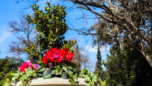 Καιρός: Άνοιξη μέχρι τη Δευτέρα- Φθινόπωρο από τα μέσα της άλλης εβδομάδας