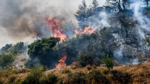 Φωτιά Τώρα Στην Κεφαλονιά - Ισχυρές Δυνάμεις Στο Σημείο