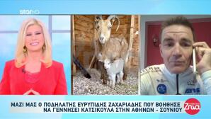 Ποδηλάτης Βοήθησε Κατσίκα Να Γεννήσει Στην Αθηνών - Σουνίου