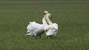 Άση Μπήλιου: Οι Ερωτικές Προβλέψεις Της Εβδομάδας 30/3/2026