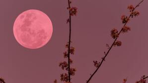 Foon Τι φέρνει η Πανσέληνος του Απριλίου σε σχέσεις και ισορροπίες;April