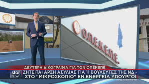 Άρση ασυλίας για 11 βουλευτές για τον ΟΠΕΚΕΠΕ