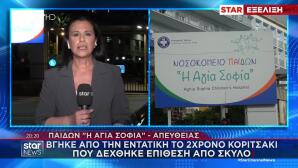 Πειραιάς: Εκτός Εντατικής Η 2χρονη Που Της Επιτέθηκε Σκύλος