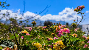 Καιρός: Σχεδόν αίθριος σε όλη τη χώρα- Υποχωρούν σκόνη και βοριάδες