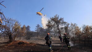 Δασικές Πυρκαγιές