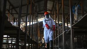 Έμπολα: Έκτακτη Συνάντηση Υπουργών Υγείας Για Την Επιδημία