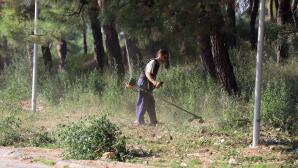 Ακαθάριστα Οικόπεδα