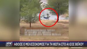 Αθώος Ο Μελισσοκόμος Για Τη Φωτιά Στο Άλσος Βεΐκου