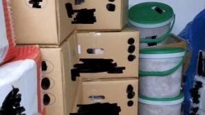 Κατασχέθηκαν 5,3 Τόνοι Ακατάλληλου Κρέατος