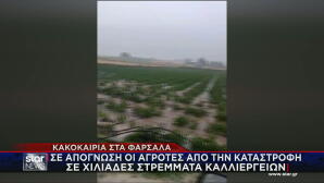 κακοκαιρία