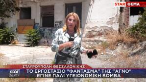 Σταυρούπολη: Υγειονομική Βόμβα Το Παλιό Εργοστάσιο Της ΑΓΝΟ