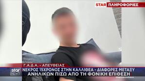 Δολοφονία 15χρονου Καλλιθέα: Tο Κίνητρο Της Επίθεσης