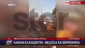 Φωτιά Στη Βάρδα Ηλείας: Σηκώθηκαν 4 Εναέρια Μέσα