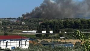 Φωτιά Στα Εξαμίλια Κορινθίας - 112 Για Εκκένωση Δύο Οικισμών