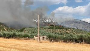 φωτιά Σπαθοβούνι