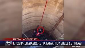 Πάτρα - γατάκι διάσωση από πηγάδι