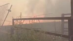 Φωτιά Σέρρες: Μήνυμα 112 Για Εκκένωση Της Οινούσσας