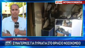 φωτιά στο Θριάσιο
