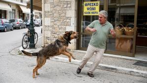 Βριλήσσια: Σκύλος Επιτέθηκε Σε Άνδρα Έξω Από Φούρνο