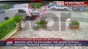 Βριλήσσια: Η Στιγμή Που Απομακρύνουν Τον Σκύλο Από Το Σημείο