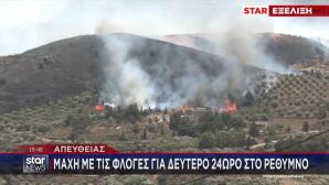 Ρέθυμνο: Στάχτη Το 80% Του Φοινικόδασους Της Πρέβελης