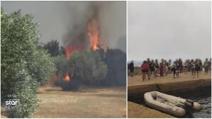 Φωτιά Βοιωτία: Μάχη με τις φλόγες σε Ξηρονομή και Καλαμάκι