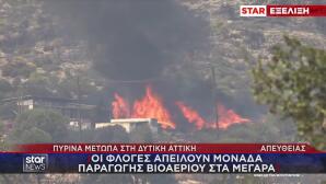 Φωτιές Δυτική Αττική: Αναζωπύρωση Στον Κιθαιρώνα
