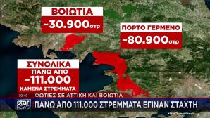 Γράφημα STAR: Τα 110.000 καμένα στρέμματα σε Αττική και Βοιωτία