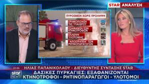 Ηλίας Παπανικολάου για τις φωτιές