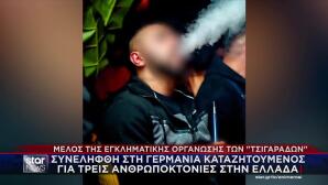 Γερμανία: Έπιασαν Τον Εκτελεστή Ζαμπόν Και Σκαφτούρου