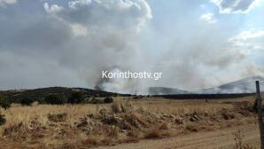 Φωτιά Στο Στεφάνι Κορίνθου - Σηκώθηκαν Εναέρια Μέσα