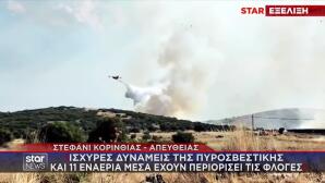 Φωτιά Στο Στεφάνι Κορίνθου - Σηκώθηκαν Εναέρια Μέσα