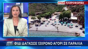 Χανιά: Φίδι Δάγκωσε 13χρονο Σε Παραλία