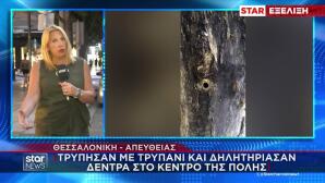 Θεσσαλονίκη: Τρύπησαν με τρυπάνι και δηλητηρίασαν δύο δέντρα