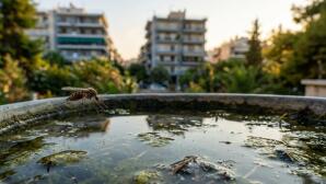 Ιός Δυτικού Νείλου: Έξαρση Κρουσμάτων Στην Αττική