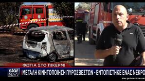 Πικέρμι φωτιά