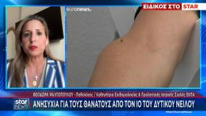 Ιός Δυτικού Νείλου