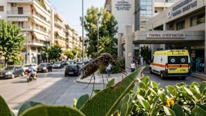 Ιός Δυτικού Νείλου: 45 Νέα Κρούσματα Και 9 Θάνατοι