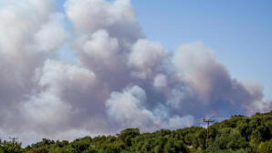 Φωτιά Στη Σίβηρη Χαλκιδικής
